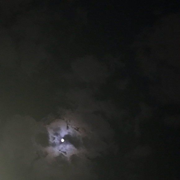 Meet your Posher, Eevelin - Picture 1 of 1